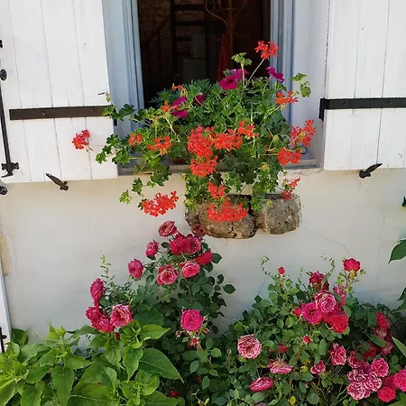 Mimosa 度假居 Barie